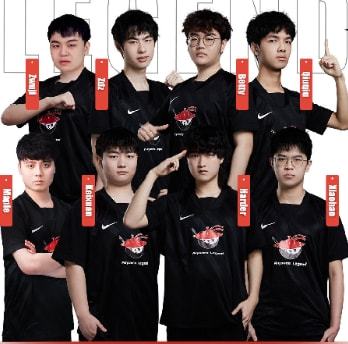 因为它不仅 因为它不仅